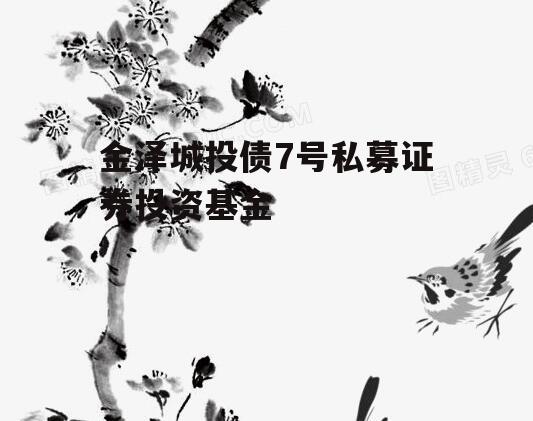 金泽城投债7号私募证券投资基金