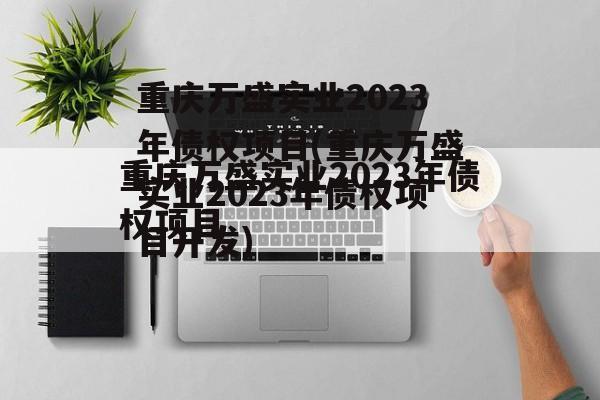 重庆万盛实业2023年债权项目(重庆万盛实业2023年债权项目开发)