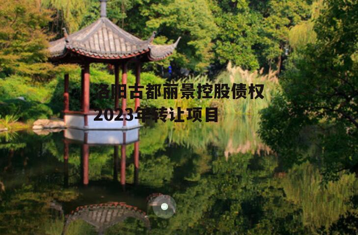 洛阳古都丽景控股债权2023年转让项目