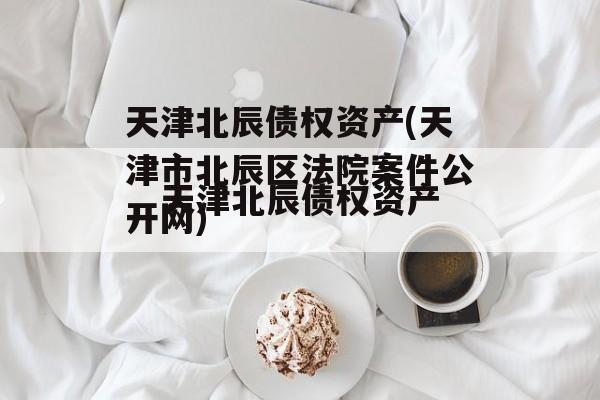 天津北辰债权资产(天津市北辰区法院案件公开网)