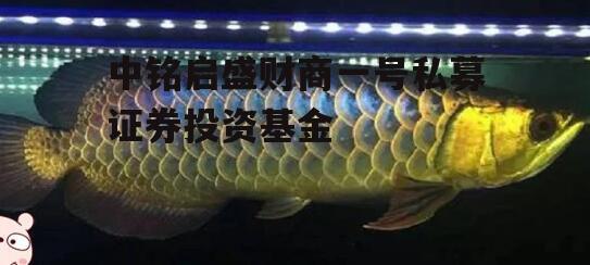 中铭启盛财商一号私募证券投资基金