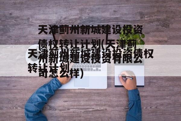天津蓟州新城建设投资债权转让计划(天津蓟州新城建设投资有限公司怎么样)