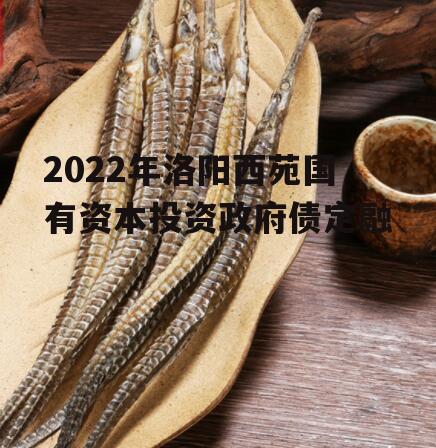 2022年洛阳西苑国有资本投资政府债定融