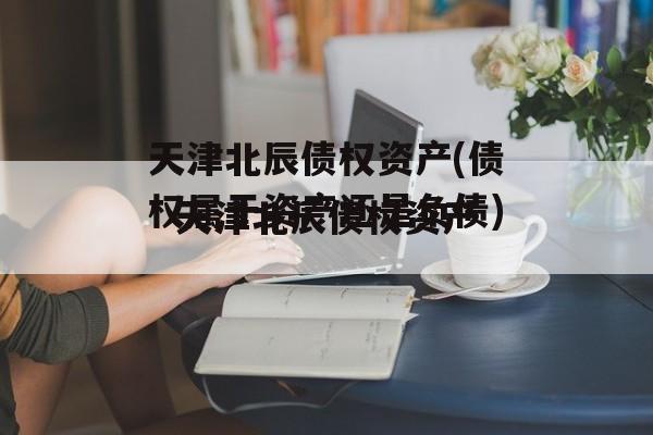 天津北辰债权资产(债权属于资产还是负债)
