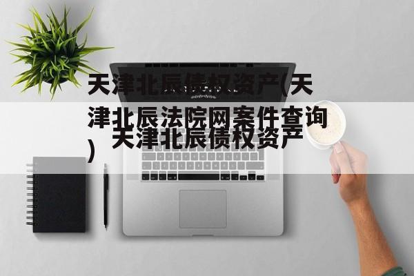 天津北辰债权资产(天津北辰法院网案件查询)