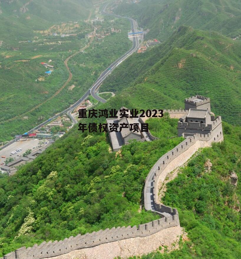 重庆鸿业实业2023年债权资产项目