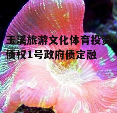 玉溪旅游文化体育投资债权1号政府债定融