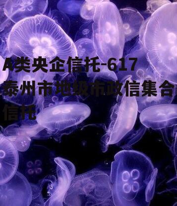 A类央企信托-617泰州市地级市政信集合信托