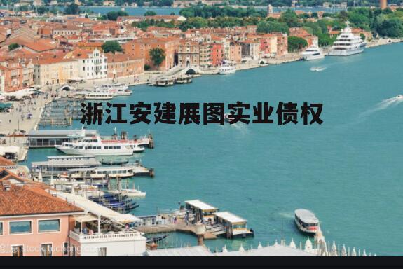 浙江安建展图实业债权