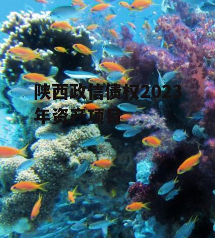 陕西政信债权2023年资产项目
