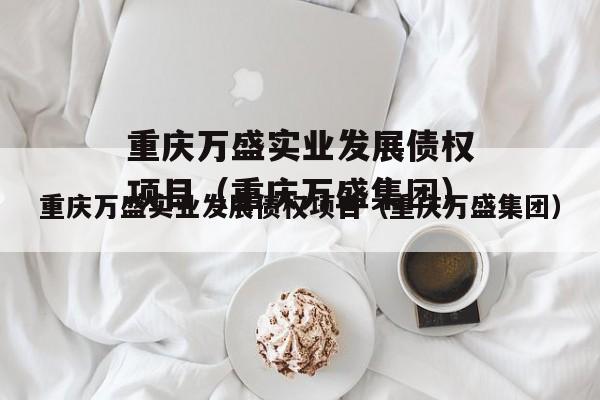 重庆万盛实业发展债权项目（重庆万盛集团）