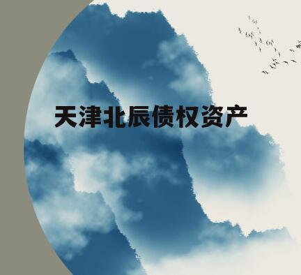 天津北辰债权资产