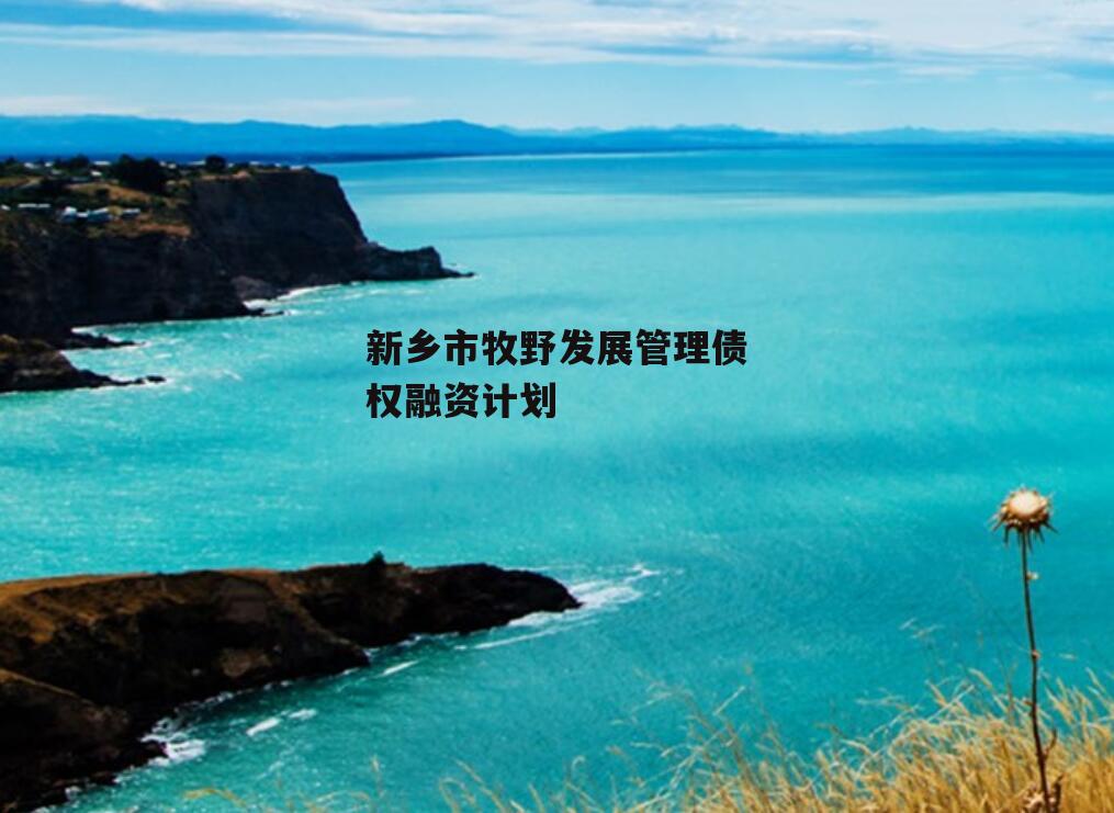 新乡市牧野发展管理债权融资计划
