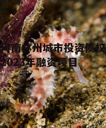 河南林州城市投资债权2023年融资项目