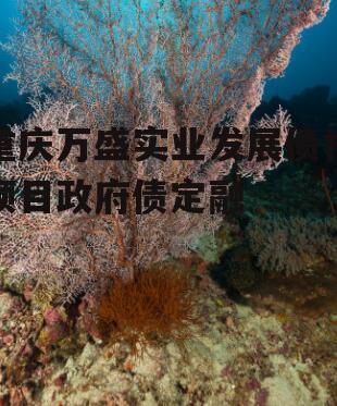重庆万盛实业发展债权项目政府债定融