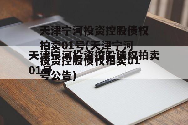 天津宁河投资控股债权拍卖01号(天津宁河投资控股债权拍卖01号公告)