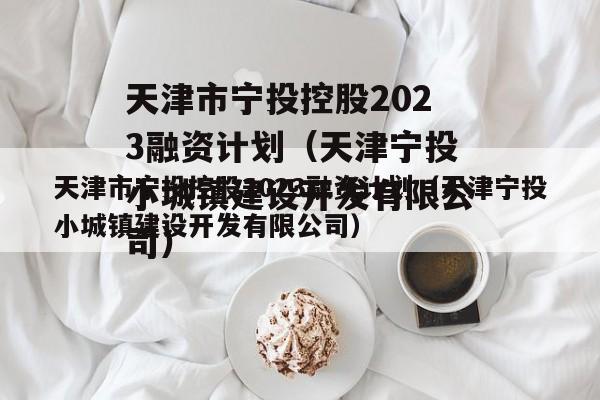 天津市宁投控股2023融资计划（天津宁投小城镇建设开发有限公司）