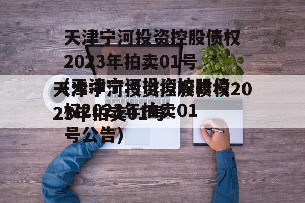 天津宁河投资控股债权2023年拍卖01号(天津宁河投资控股债权2023年拍卖01号公告)