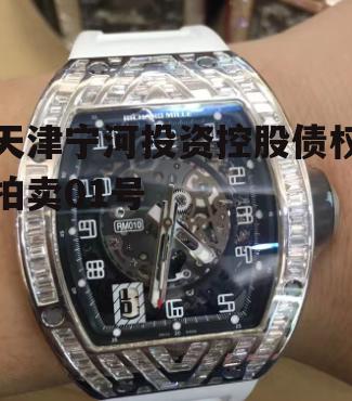 天津宁河投资控股债权拍卖01号