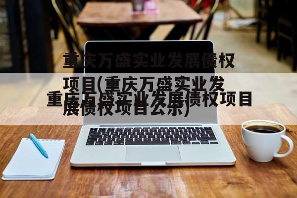 重庆万盛实业发展债权项目(重庆万盛实业发展债权项目公示)