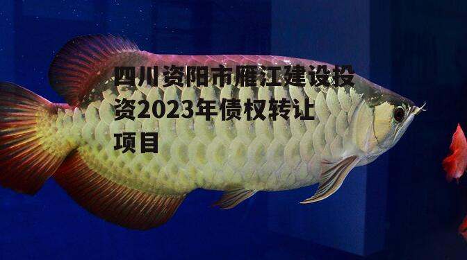 四川资阳市雁江建设投资2023年债权转让项目