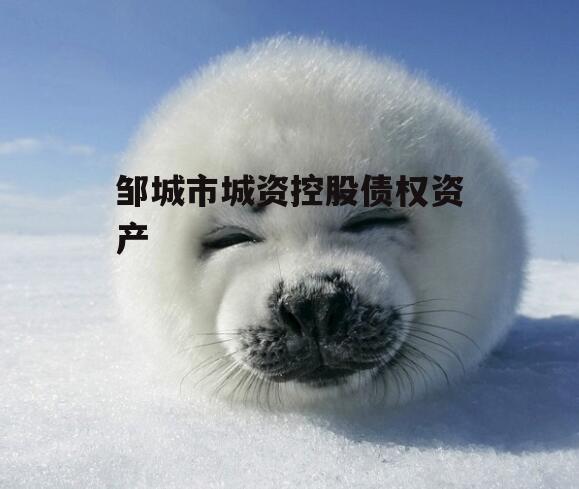 邹城市城资控股债权资产