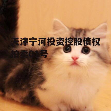 天津宁河投资控股债权拍卖01号