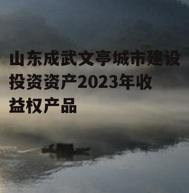 山东成武文亭城市建设投资资产2023年收益权产品