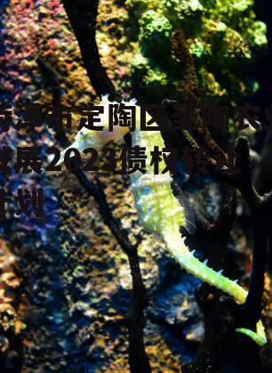 菏泽市定陶区圣陶农业发展2023债权转让计划