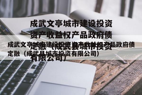 成武文亭城市建设投资资产收益权产品政府债定融（成武县城市投资有限公司）