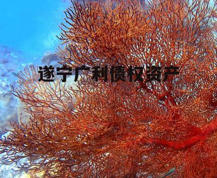 遂宁广利债权资产