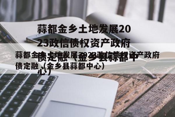 蒜都金乡土地发展2023政信债权资产政府债定融（金乡县蒜都中心）