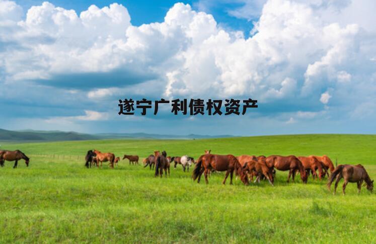 遂宁广利债权资产