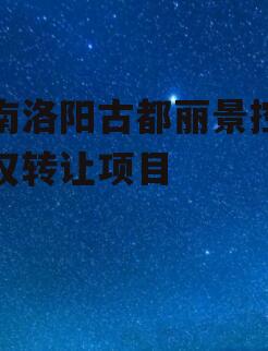 河南洛阳古都丽景控股债权转让项目