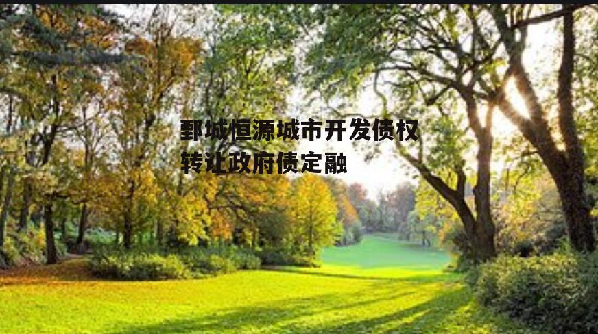 鄄城恒源城市开发债权转让政府债定融