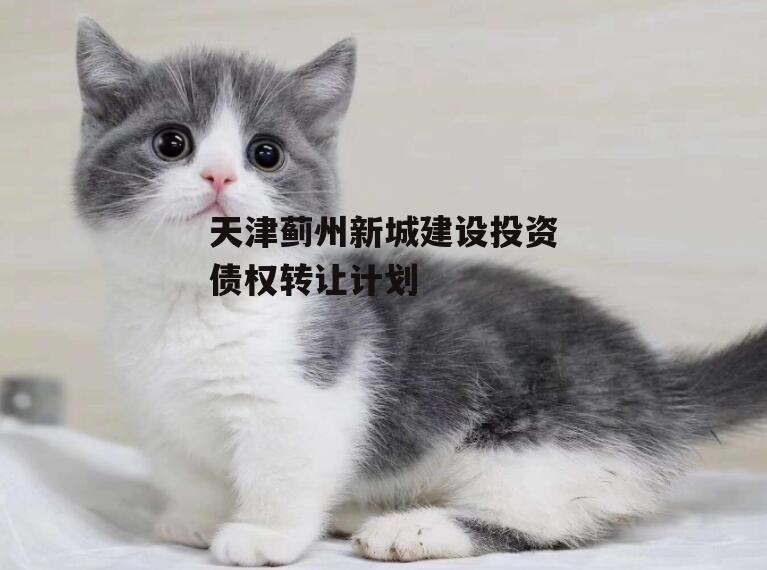 天津蓟州新城建设投资债权转让计划