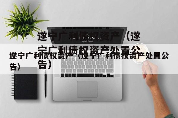 遂宁广利债权资产（遂宁广利债权资产处置公告）