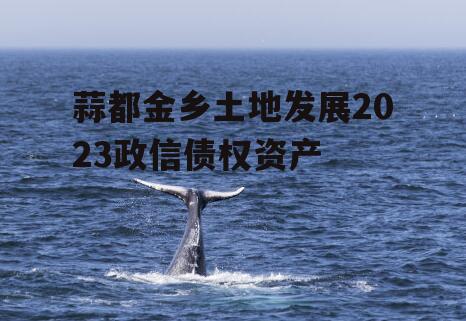 蒜都金乡土地发展2023政信债权资产