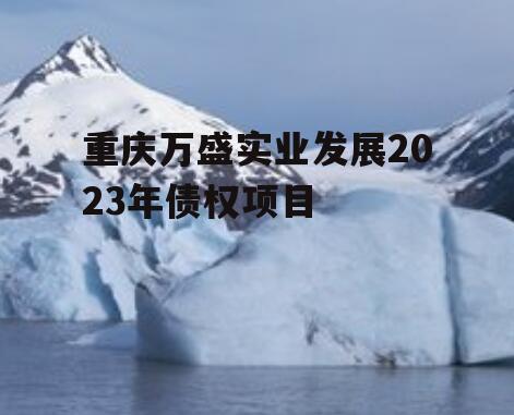 重庆万盛实业发展2023年债权项目