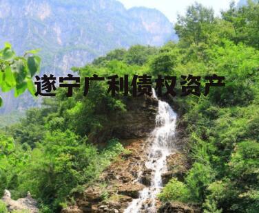 遂宁广利债权资产
