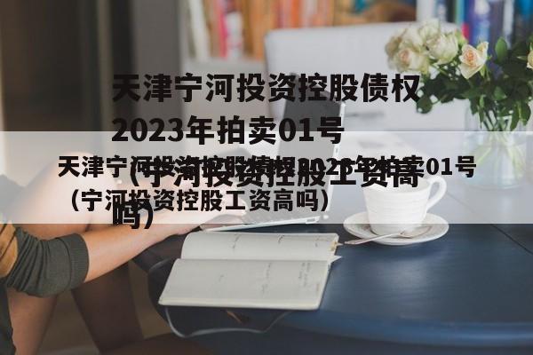 天津宁河投资控股债权2023年拍卖01号（宁河投资控股工资高吗）