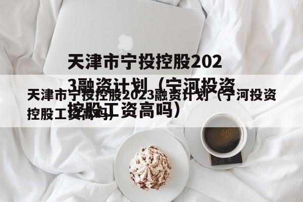 天津市宁投控股2023融资计划（宁河投资控股工资高吗）