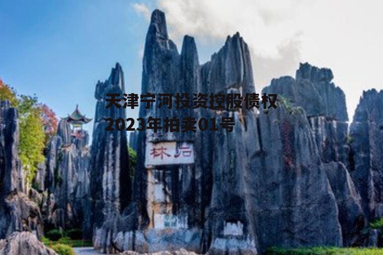 天津宁河投资控股债权2023年拍卖01号