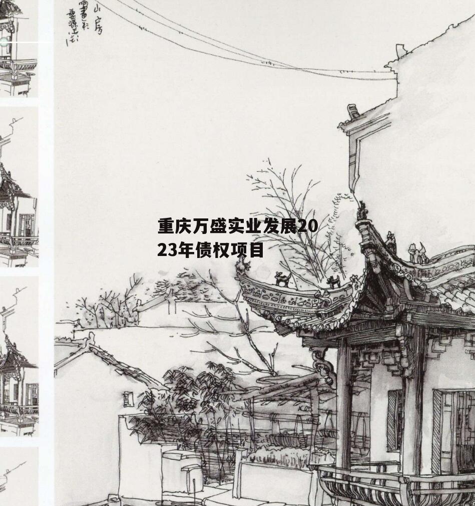 重庆万盛实业发展2023年债权项目