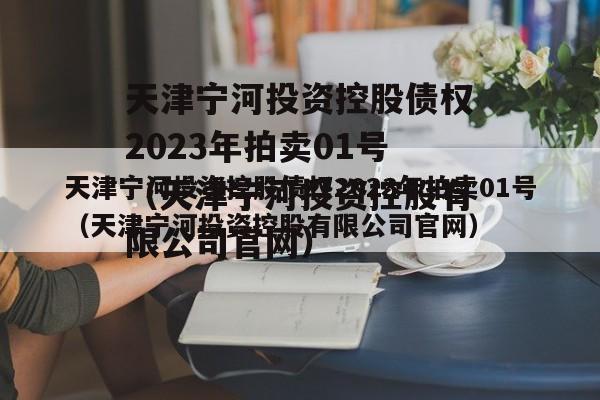 天津宁河投资控股债权2023年拍卖01号（天津宁河投资控股有限公司官网）