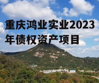 重庆鸿业实业2023年债权资产项目