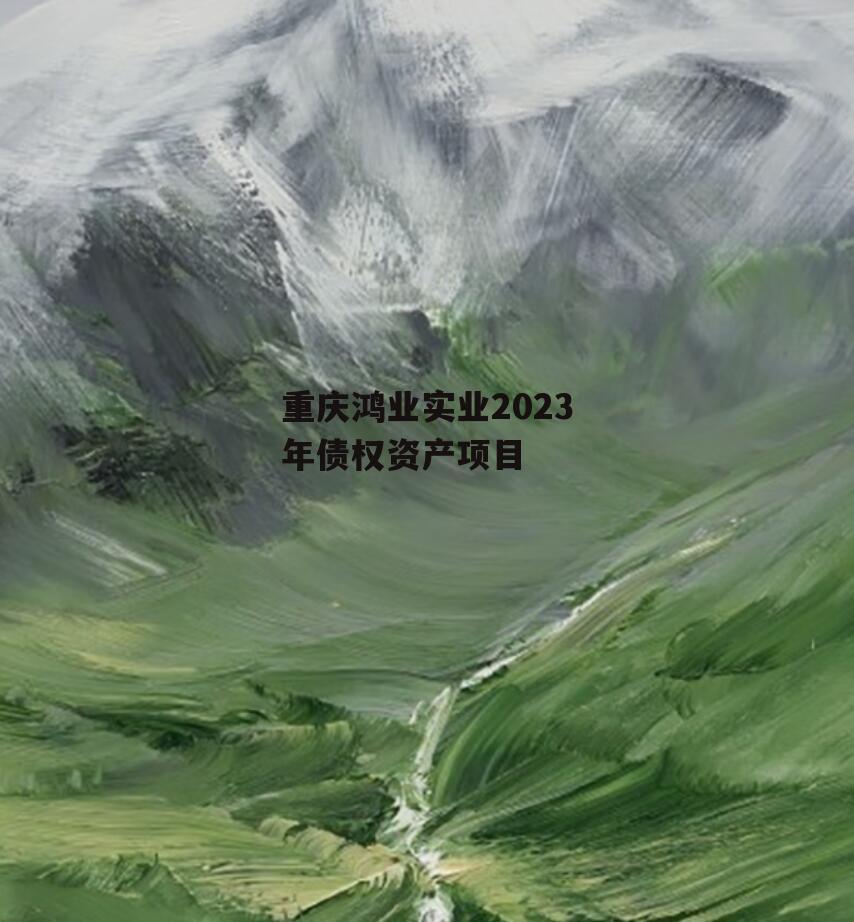 重庆鸿业实业2023年债权资产项目