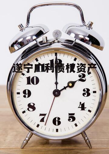 遂宁广利债权资产