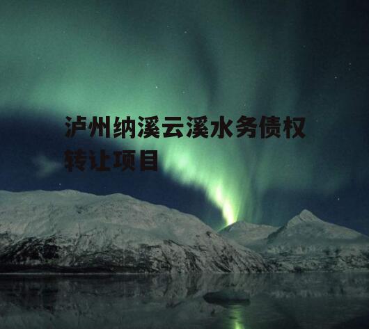 泸州纳溪云溪水务债权转让项目
