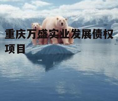重庆万盛实业发展债权项目